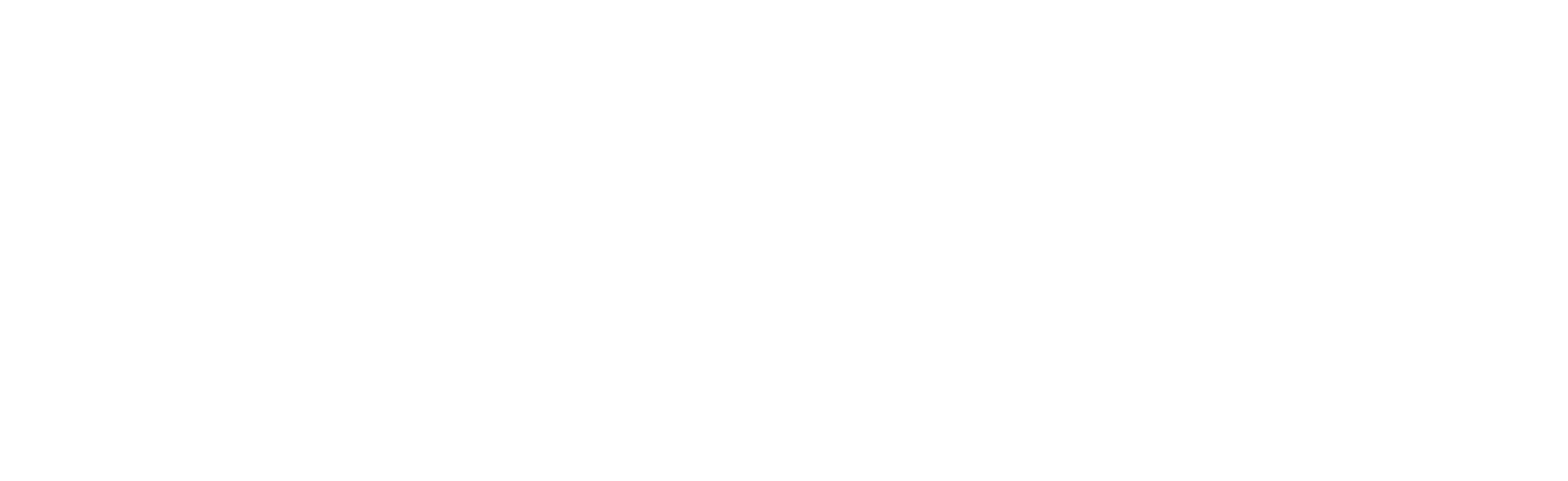 Basic Apparel Logo
